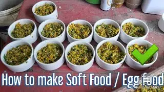 Preparing soft food for my birds (sample recipe)