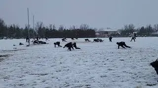 North Valley Thunder U14 Elite football. Bear crawls in the snow on day 1.