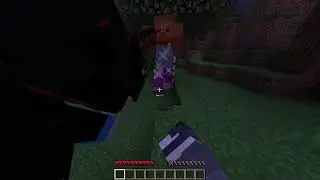 Minecraft Cu Broaste