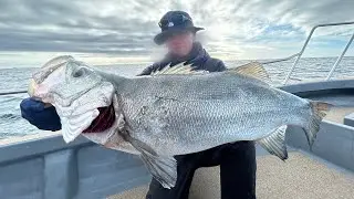 荒磯の王者をボートから狙う！