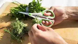 TOP 5 HERB SCISSORS OF 2023