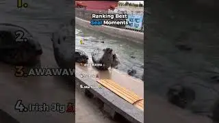 Ranking Best Seal Moments