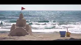 Beach Waves: Full CGI | 3ds Max & Phoenix FD