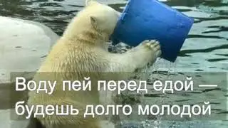 Фильм Ищу мужа.