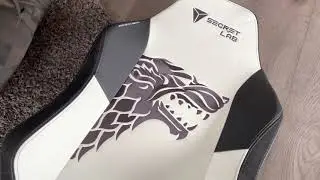 Unboxing SecretLab House Stark Edition