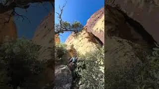 Rainbow Mountain Wilderness &ndash; Epic Scramble to Eva&rsquo;s Tower! #shorts