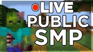 24/7 Joinable Minecraft SMP (PUBLIC) ~ 1.19 Java & Bedrock Survival Server | IP: plateousmp.xyz
