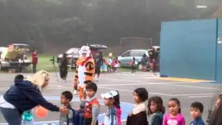 VID00143