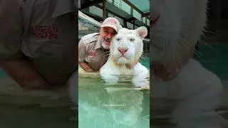 Animals Remember Kindness Forever 😍