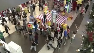 Who is Julian Loft? FLASH MOB @ USCE Shopping Center