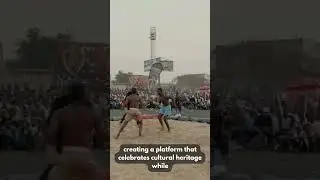 DAMBE WARRIORS &ndash; Pioneering the Future of African Combat Sports