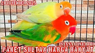 STOK BARU LAGI✓28 NOVEMBER 2025✓PAKET SULTAN HARGA RAKYAT