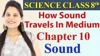 How Sound Travels In A Medium - Chapter 10 - Sound - Science Class 8, CBSE
