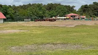 Safari Land Stukenbrock in NRW 04/05/2025🇩🇪