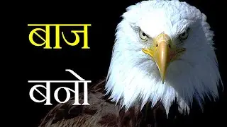 बाज बनो | Eagle Attitude Motivational Quotes in Hindi | My Motivation