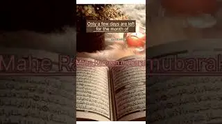 Phariste Ameen kaho #Tariq jameel bayan 💫 #Ameen