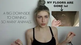 THE MOST EXHAUSTING NIGHT EVER (13 Hours of Moving My Pets)