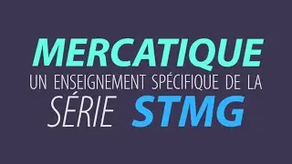 Spécialité Mercatique (Marketing) en série STMG