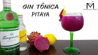 COMO FAZER GIN TÔNICA DE PITAYA