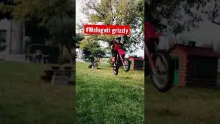 Prova salto 60 cm malaguti grizzly