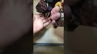 Dry Fire Revolvers