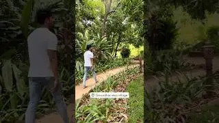 Govardhan Eco Village |Mini Vrindavan 😍 #harshadrao