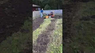 tuin opfrissen