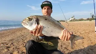 PESCA DORADA XL DESDE PLAYA