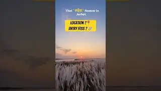Кохуа в Джорхат Багмора | новое место для фотошопа #minivlog #assamesevlog #shortsfeed #brahmaputra