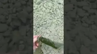 Bass Fishing Medina River #shorts