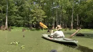 Chakchiuma Swamp, Grenada Mississippi