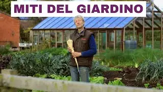 Miti del Giardinaggio che ti Fanno Perdere Tempo e che Devi Smettere di Credere!