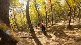 2025.11.4 第一火曜部 TRAIL CUTTER 紅葉ライド