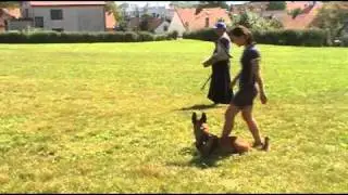 Elvis training September 2011