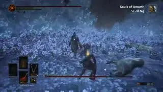 Dark Souls 3 - Flawless Champion Gravetender Kill - SL70