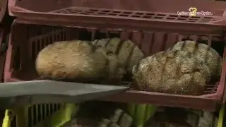 Panem houtovenbrood