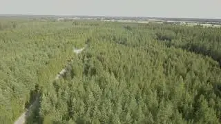Litchi-Hub video from Forest-road in Kauhajoki