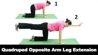 Quadruped Opposite Arm Leg Extension - Ask Doctor Jo