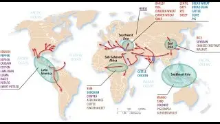 Agricultural Hearths/Agriculture Part 1 (AP Human Geography)