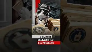 5 Bizarre Declassified CIA Projects