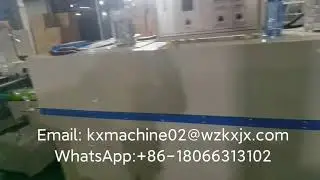 Automatic Case Packing Machine Pack Inner Boxes into Master Carton