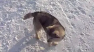 M4H00871.MP4