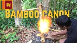 🇱🇰 how to make a bamboo cannon.