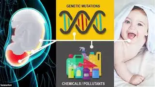 RosetteArraysTM: Transforming Risk Assessment and Drug Discovery for Neurodevelopmental Disorders