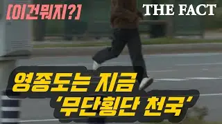 [이건뭐지?] 영종도는 지금 '무단횡단 천국'
