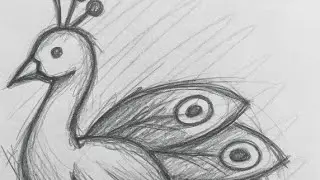 VIP drawing world  is live
