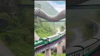 #shorts #owl #snakecartoon #snakevideo #saampwalavideo #anaconda #snake #bigsnake #saamp #handsnake