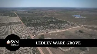 SOLD: Ledley Ware Grove | 59.50 &plusmn; Acres | Citrus Grove | Land Investment | FOR SALE | Bartow, FL