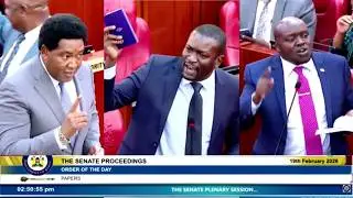 HEATED Exchange! Olekina, Sifuna, Cherargei & Khalwale In A FIERY Showdown During Senate Proceedings