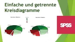 Einfache und getrennte Kreisdiagramme in SPSS erstellen, formatieren - Daten visualisieren SPSS (7)
